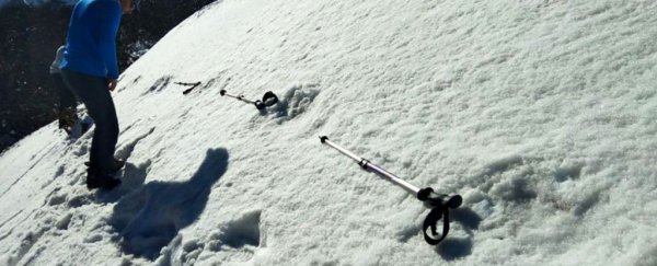 Indian Army Claims It Found Yeti Footprints - Here's how the internet responded