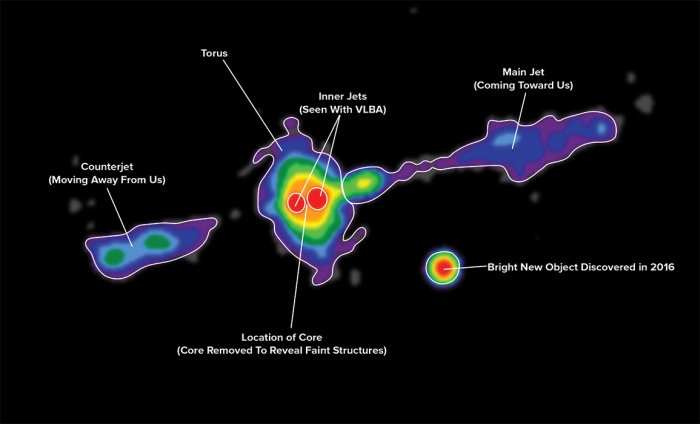 torus pic