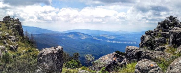 Traces of Extraterrestrial Organic Matter Have Been Found In South Africa's Mountains