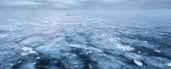 Scientists discover rare, 'undisturbed' pockets of seawater from the last ice age