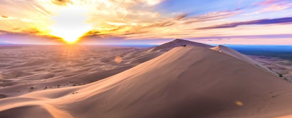 Scientists identify unexpected paths our ancestors might have taken out of Africa