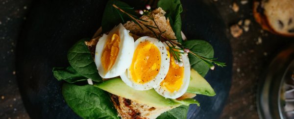 These 11 foods can help you avoid a nasty B vitamin deficiency