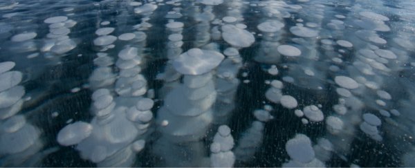Scientists trying to make a rare type of ice just stumbled upon something even weirder
