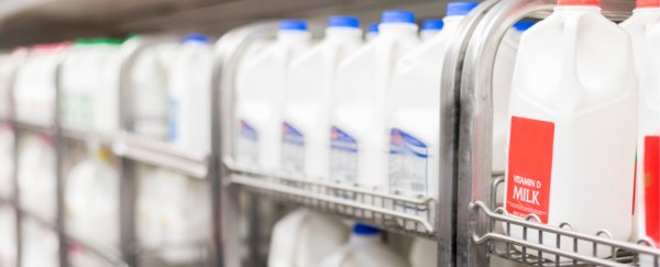 Lab claims an alternative to pasteurization that keeps milk fresh for months