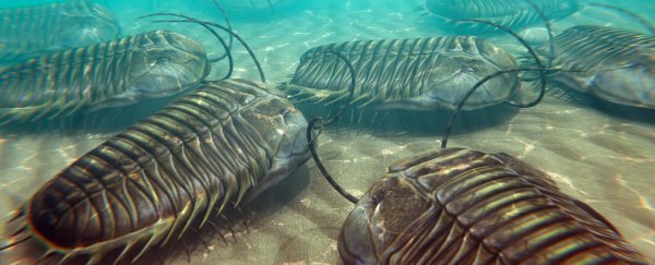 Scientists think they've found an 'ingredient' that drove the Cambrian explosion
