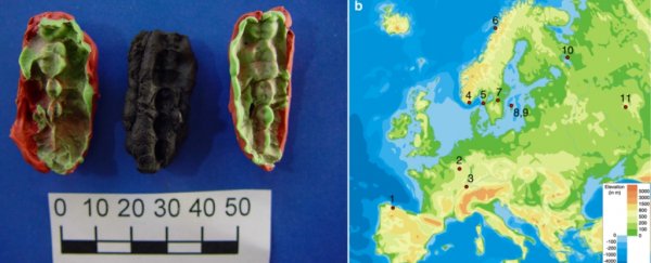 This gum has held the DNA of the ancient humans who chewed it for 10,000 years