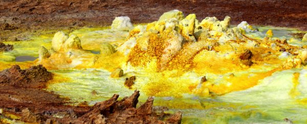 Strange microbe discovery in Ethiopian volcano shows how life could survive on Mars