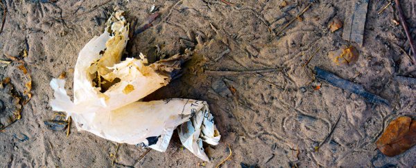 Amazing plastic-eating microbes could help clean up the terrible trash in our oceans