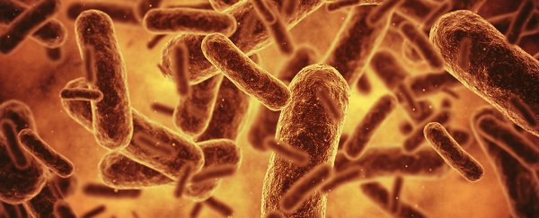 Scientists redesigned an entire genome to create the most synthetic life form yet