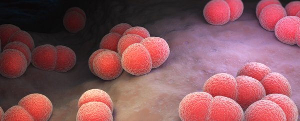 You may not need to have sex to transmit gonorrhea, new study suggests