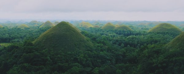 Philippines passes bill requiring students to plant 10 trees before graduating