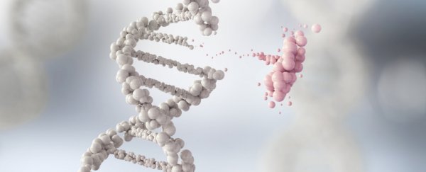 For the first time, scientists have linked rare genetic mutations to lupus