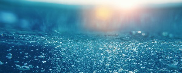 Arsenic-breathing life forms have been discovered in the Pacific Ocean