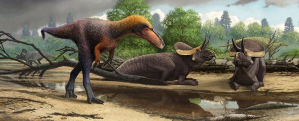 This Adorable Little Tyrannosaur Just Filled a Large Gap in T. rex Evolution