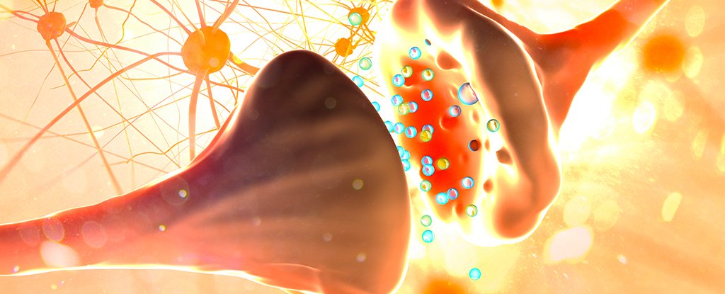 Changes to Individual Brain Cells Have Been Identified in Children With Autism - ScienceAlert thumbnail