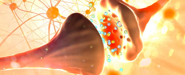Changes to individual brain cells have been identified in children with autism