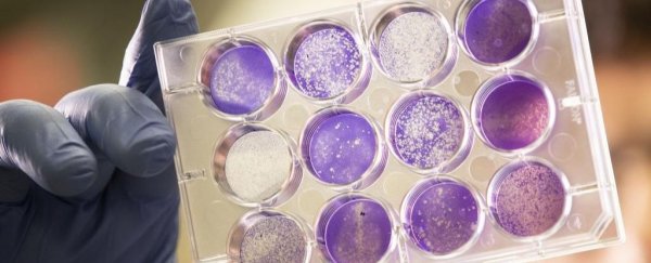 Scientists have found a way to preserve vaccines without refrigeration for months