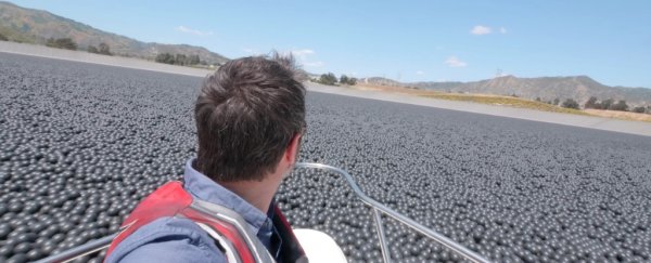 Those 96 million black balls in LA's reservoir are not just there to save water