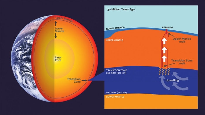 (Wendy Kenigsberg/Clive Howard, Cornell University, modified from Mazza et al. 2019)