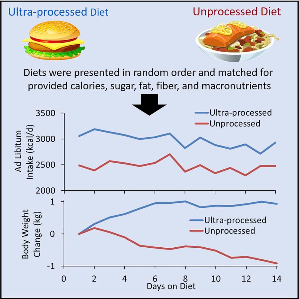 Body weight on ultra-processed vs. unprocessed diet for two weeks. (National Institutes of Health)