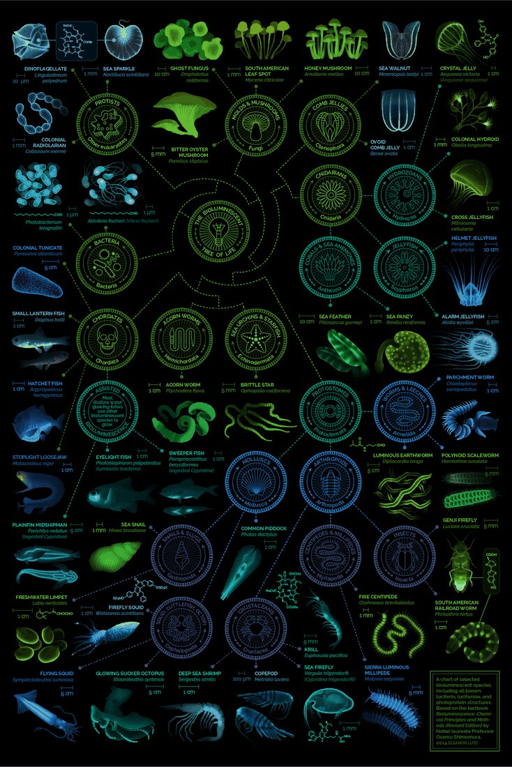 This Incredible Orbit Map Of Our Solar System Makes Our