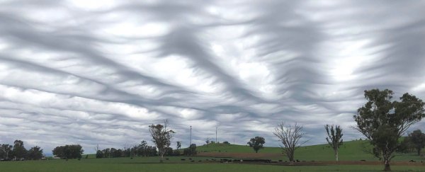 This Stunning Wave-Like Cloud Formation Wasn't Classified Until 2017