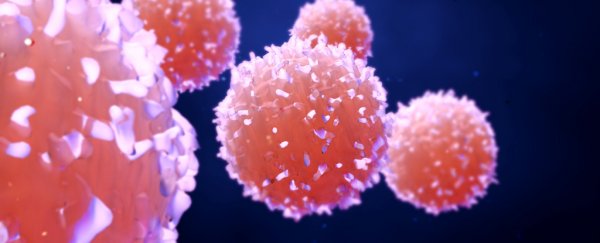 This wild new hypothesis says sex may have evolved to fight certain types of cancer