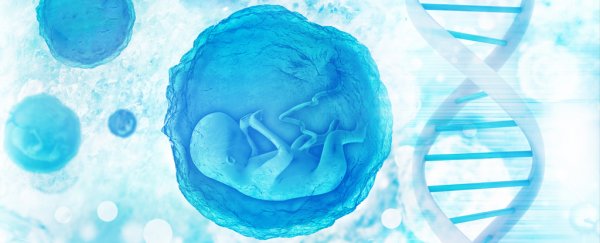 New study shows those first-ever CRISPR babies could be at risk of early death