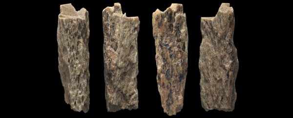 Who are the Denisovans?