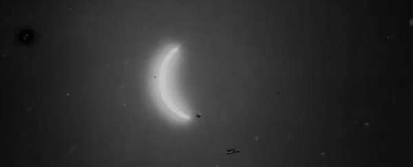 You must see this oldest footage of a solar eclipse, captured by a magician in 1900