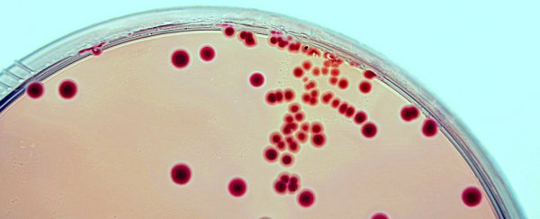 FDA has stopped fecal transplant trials after the death of a patient
