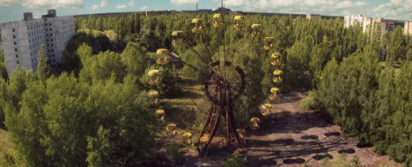 Chernobyl has been reclaimed by plants. Why don't they die from cancer?
