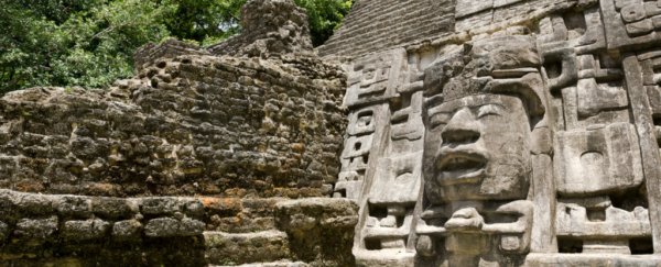 Trophies made of human skulls hint at something sinister around time of Maya collapse