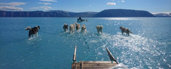 Greenland was 40 degrees hotter than normal this week, and things are getting intense