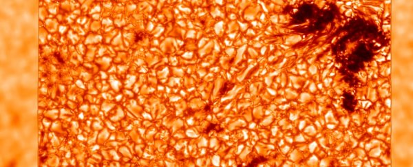 Check out the mesmerising movement of blobs of plasma on the surface of the Sun