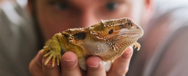 Here Are 11 Weird Diseases You Can Catch From Animals