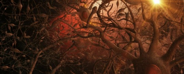What is Alzheimer's Disease and is there a way to treat it?