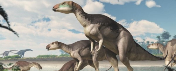 Australia's First Known Dinosaur Herd Discovered Hidden in Glittering Fossils