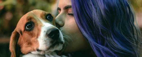 Your crippling stress levels could affect your dog more than you think, study shows
