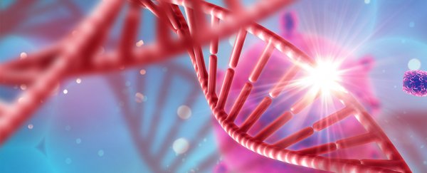What is epigenetics?