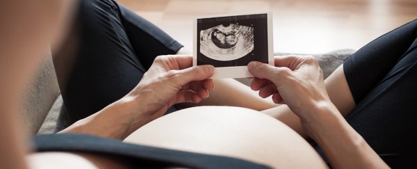 Researchers just overturned one of the biggest human pregnancy misconceptions