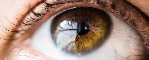 There's bacteria living on your eyeball, and it could be more important than we think