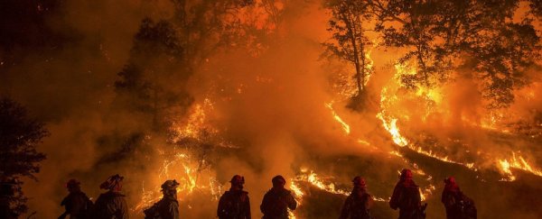 Climate change could end human civilisation as we know it by 2050, analysis finds