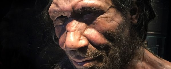 Who are the Neanderthals?
