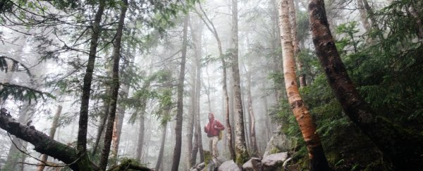 For just 2 hours a week, there's a simple practice that could make you healthier