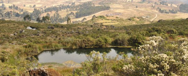 An ancient system could stop modern-day Peru running out of water