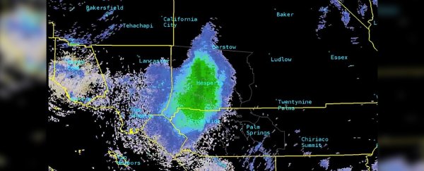 Mysterious blob caught on weather radar claimed to be a massive ladybug swarm