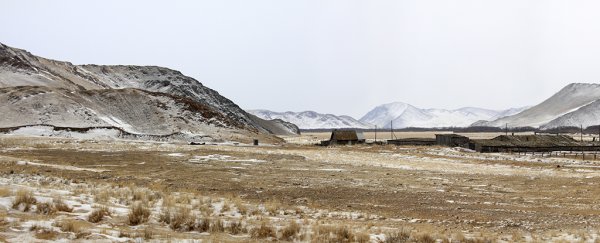 Vast, desolate 'wastelands' of Siberia are becoming habitable as the planet heats up