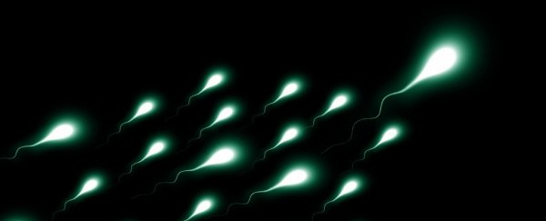 The first frozen sperm samples exposed to microgravity have survived
