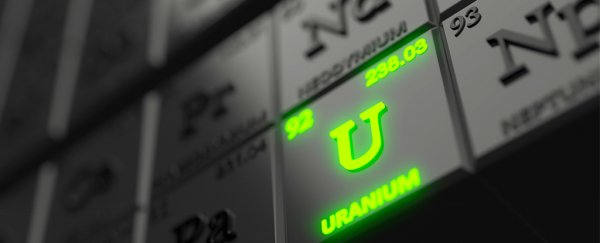 Scientists Have Developed a Chemical That Extracts Uranium From Irradiated Mice